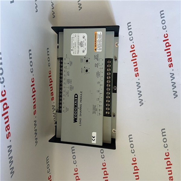 WOODWARD 9907-175 Interface Module