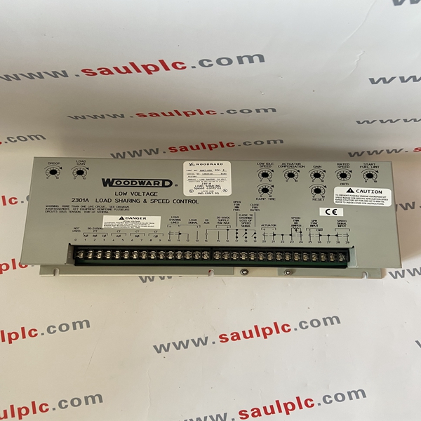 DSS-2 WOODWARD Industrial control module spare parts in stock