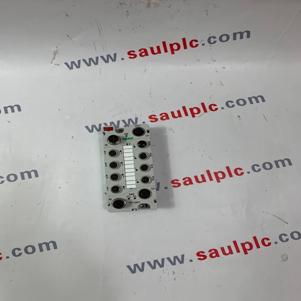 WAGO 767-4801 SPEEDWAY DIGITAL INPUT MODULE